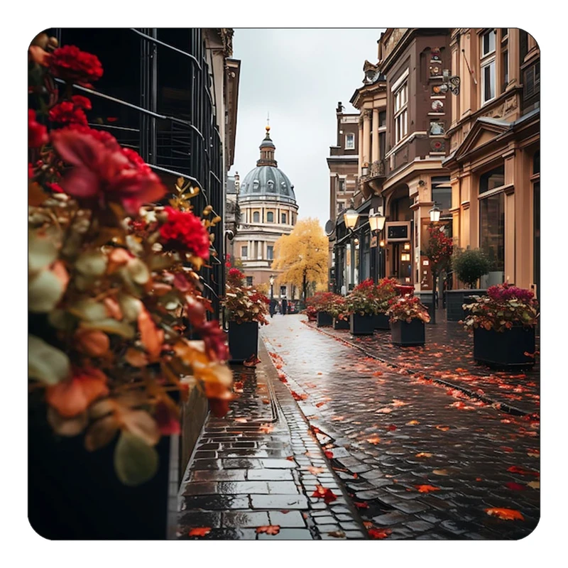 مگنت کاکتی طرح پاریس Paris مدل mp58906