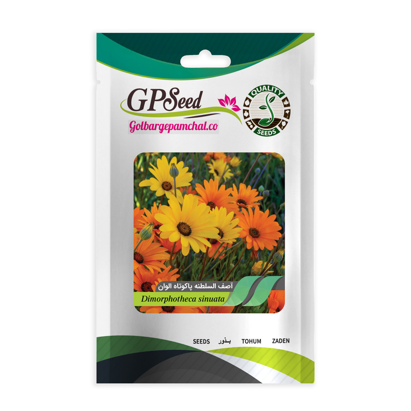 بذر گل آصف السلطنه الوان گلبرگ پامچال کد GPF-228