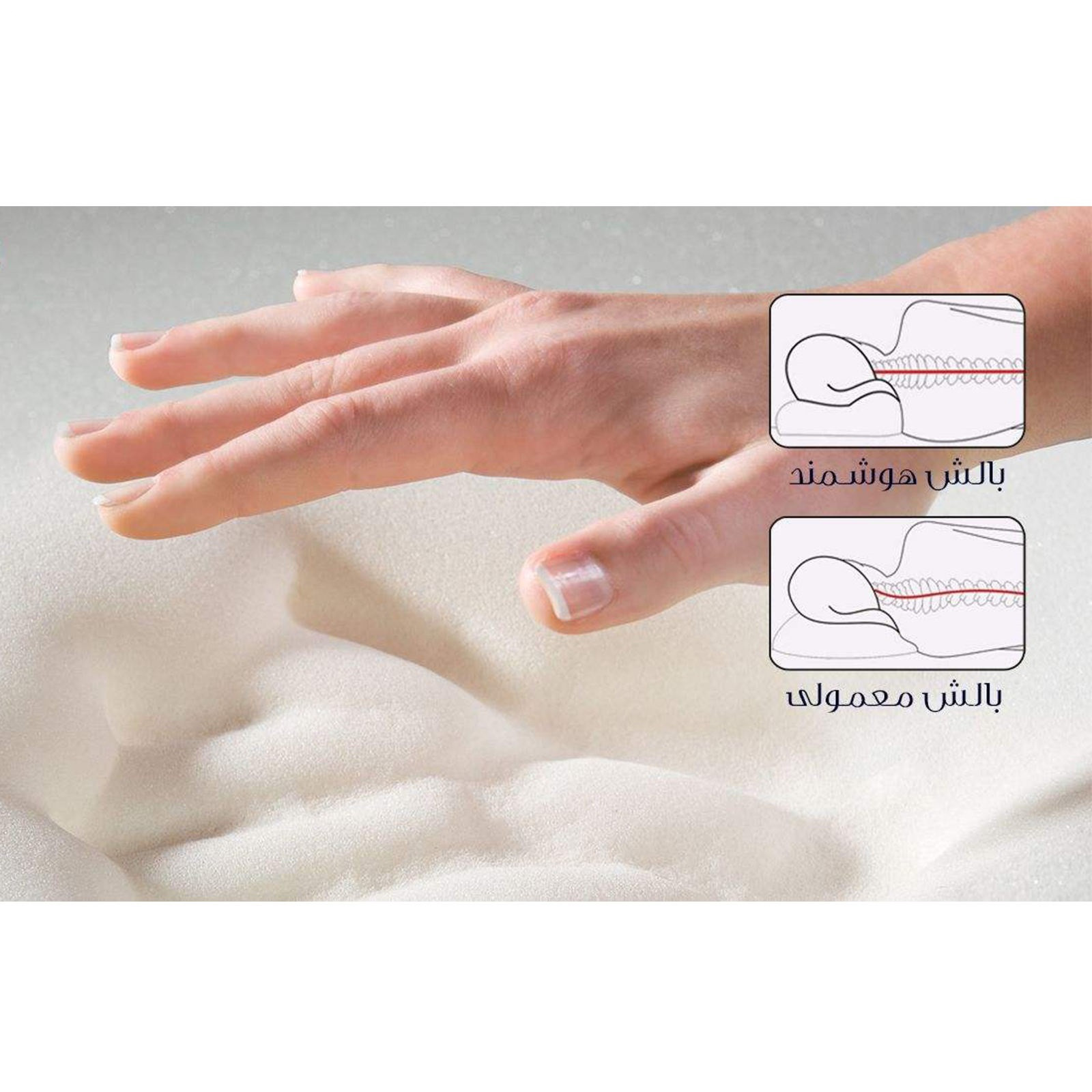 بالش طبی ژینورا مدل کلاسیک آلوئه ورا بالش طبی ژینورا مدل کلاسیک آلوئه ورا