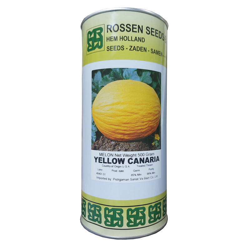 بذر خربزه یلو کانری روزن سیدز کد B51