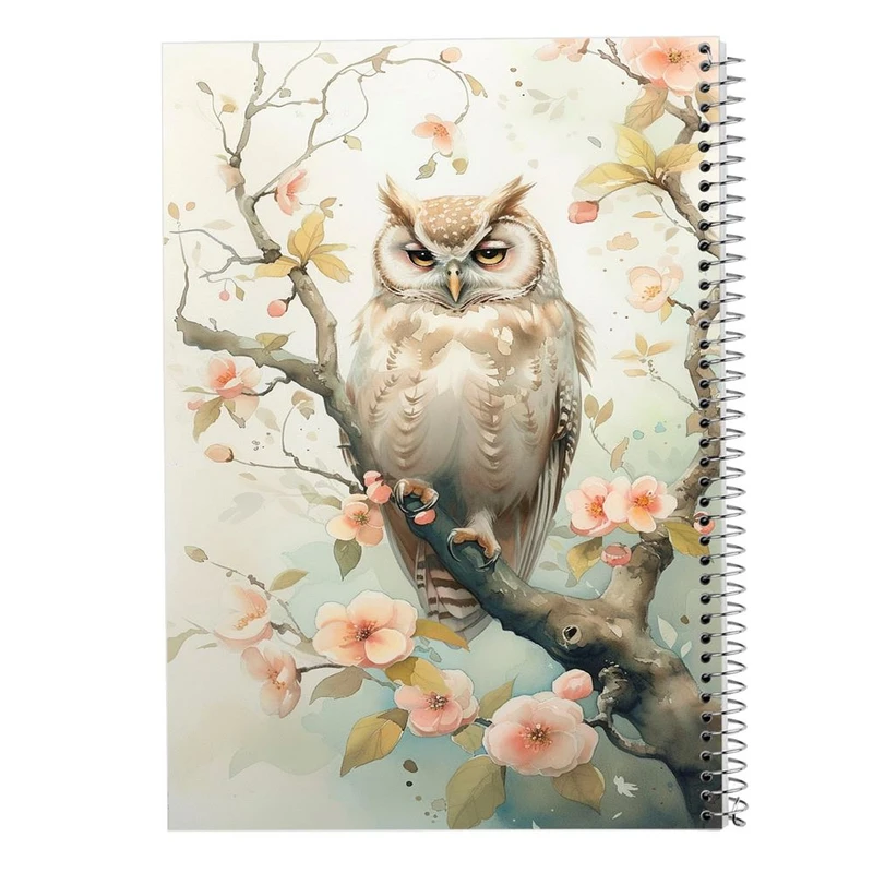 دفتر نقاشی 50 برگ مدوپد مدل پرنده کد DF15259