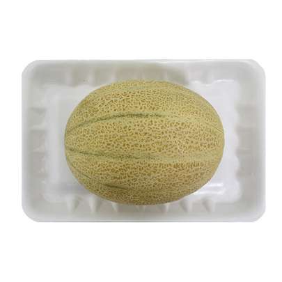 آیا طالبی برای سگ مفید است؟