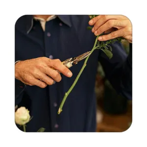 زیر لیوانی کاکتی طرح گل مدل mp16736