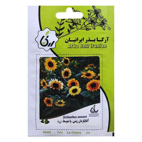  بذر آفتابگردان زینتی پامتوسط زرد آرکا بذر ایرانیان کد ARK-021