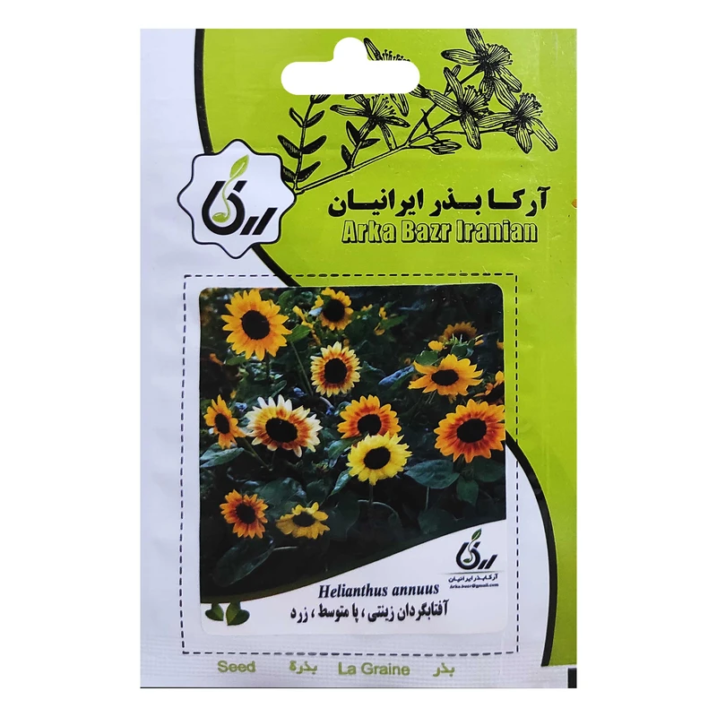  بذر آفتابگردان زینتی پامتوسط زرد آرکا بذر ایرانیان کد ARK-021