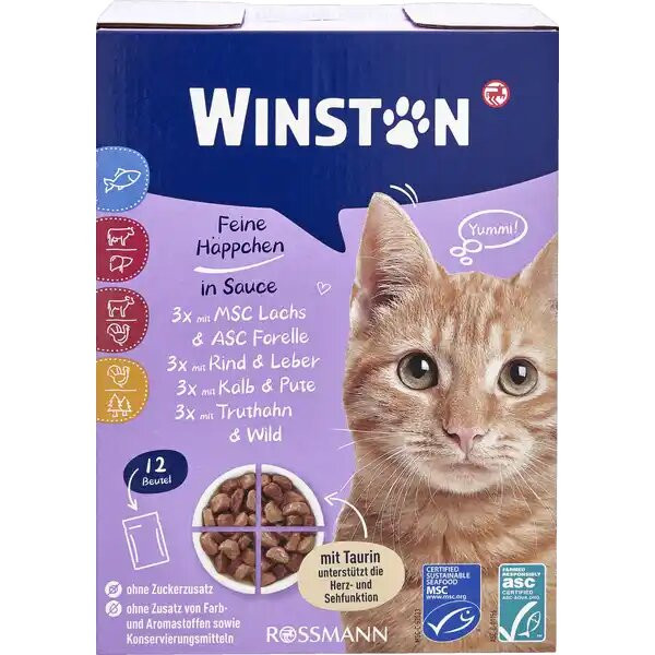 غذای پوچ گربه وینستون مدل مولتی پک وزن 1200 گرم