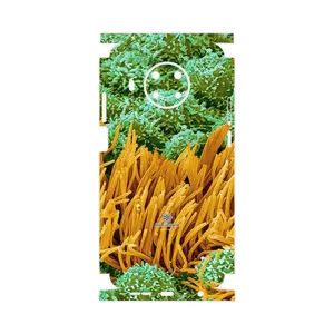 MAHOOT Atom Universe 6-FullSkin Cover Sticker for Nokia X20
