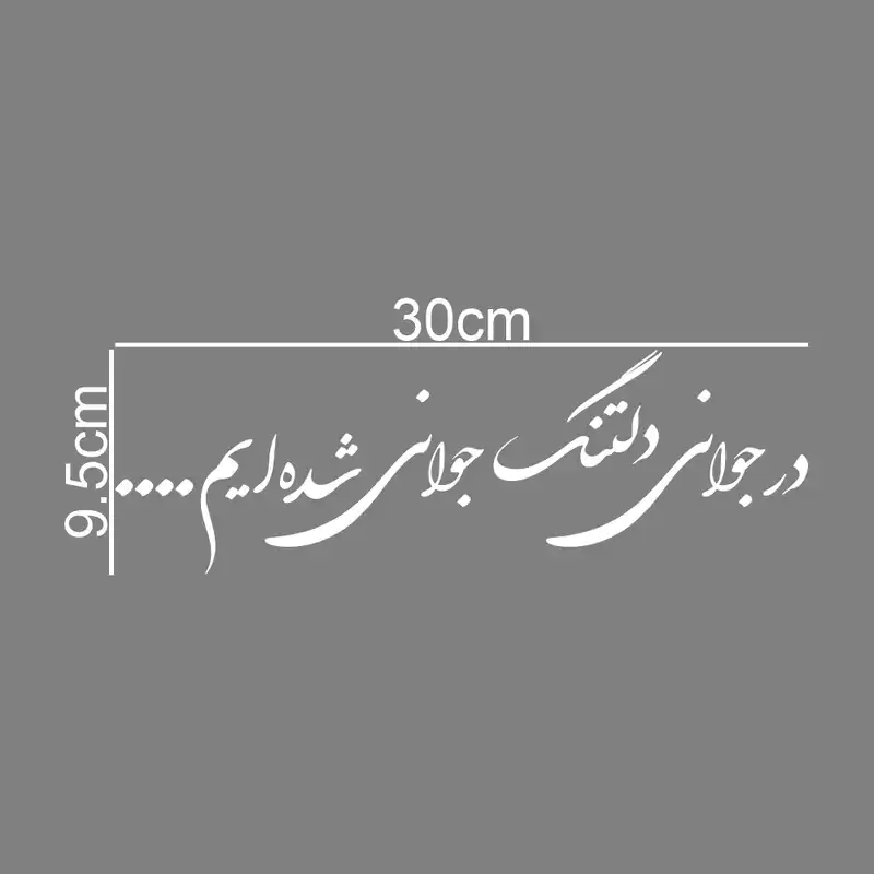 برچسب بدنه خودرو طرح در جوانی دلتنگ جوانی شده ایم کد MT-W390