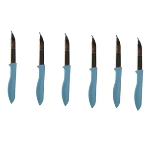 کارد میوه خوری مدل SD-980 مجموعه شش عددی