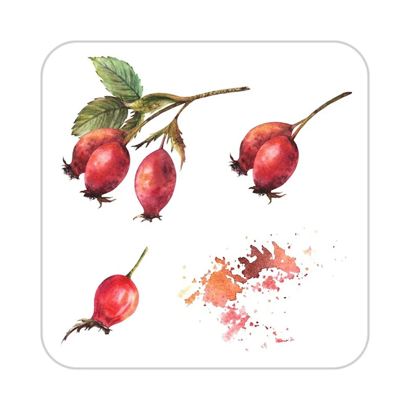 زیر لیوانی کاکتی طرح میوه مدل mp22005