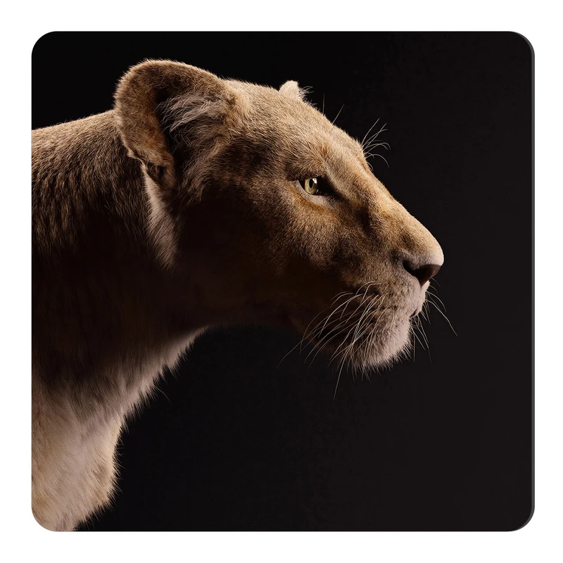 مگنت مدل مگنت طرح شیر کد NIM1334 