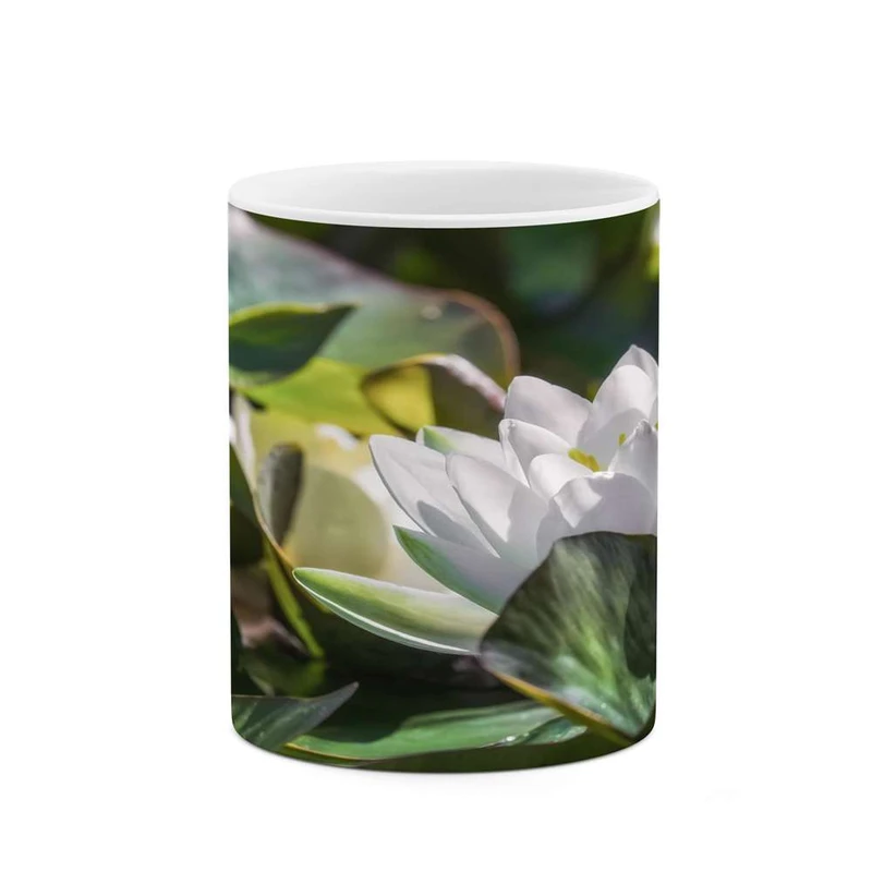 ماگ کاکتی مدل گل کد mgh16560