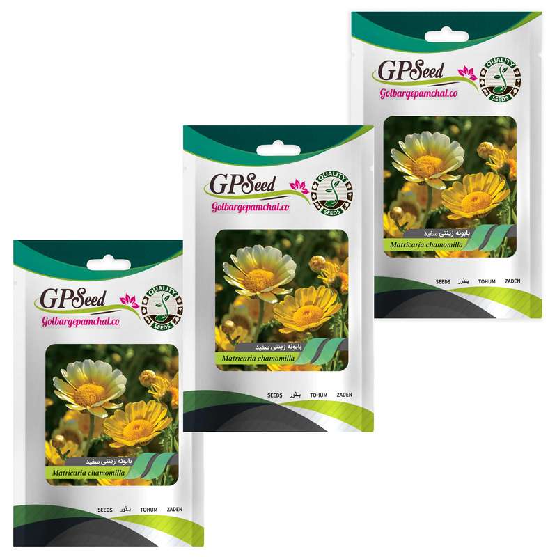 بذر گل بابونه زینتی سفید گلبرگ پامچال کد GPF-235 مجموعه 3 عددی