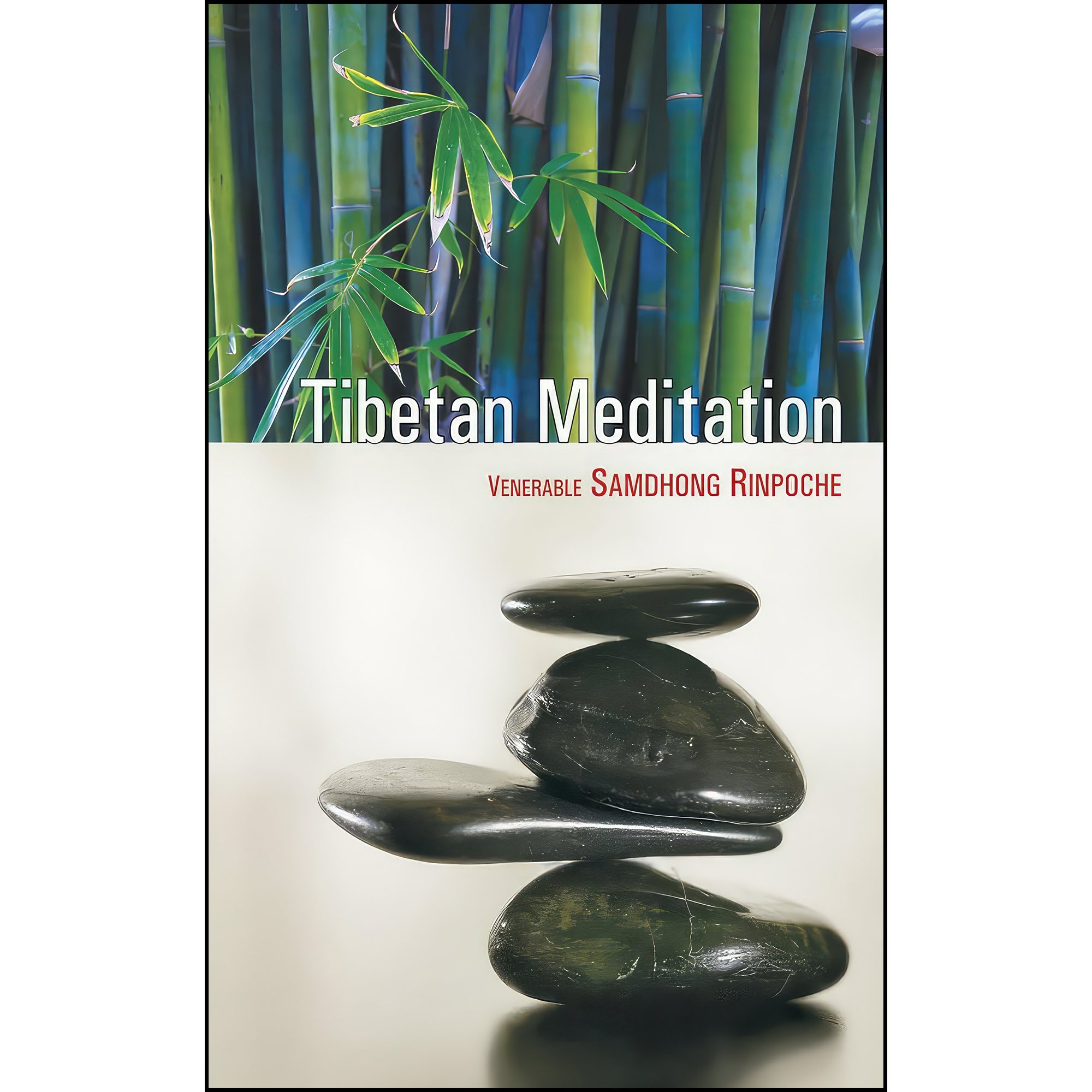 کتاب Tibetan Meditation اثر Samdhong Rinpoche انتشارات Wisdom Tree Publishers