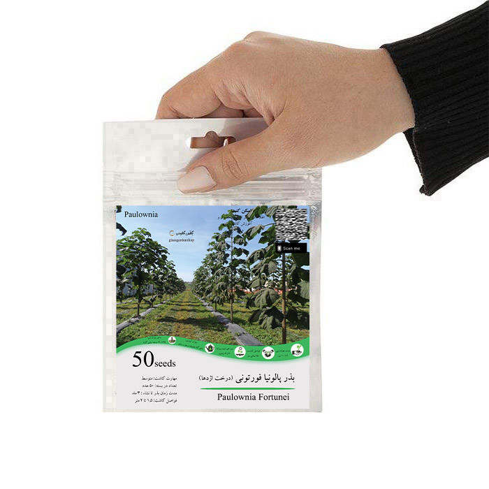 بذر درخت پالونیا فورتونی گلس گاردن مدل GL50