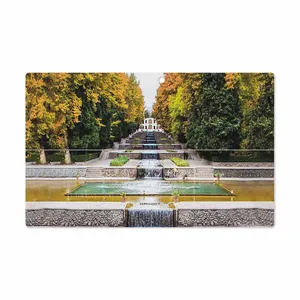 MAHOOT SHAHZADEH-Garden Cover Sticker for Microsoft Surface 2 RT 2013