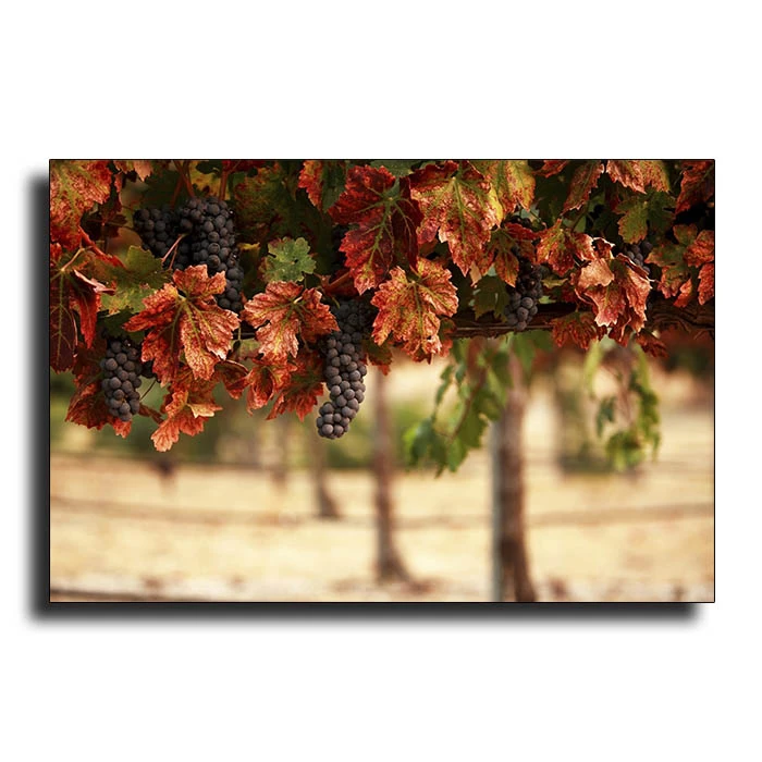 تابلو شاسی مدل 6MIX 15