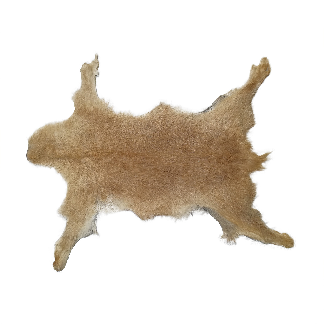 فرش پوست طبیعی کمالی مدل AC-00206