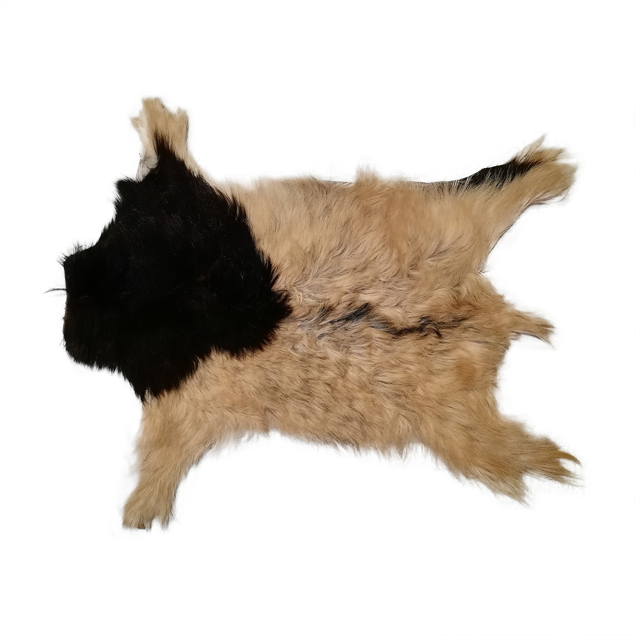 فرش پوست طبیعی کمالی مدل AC-00219