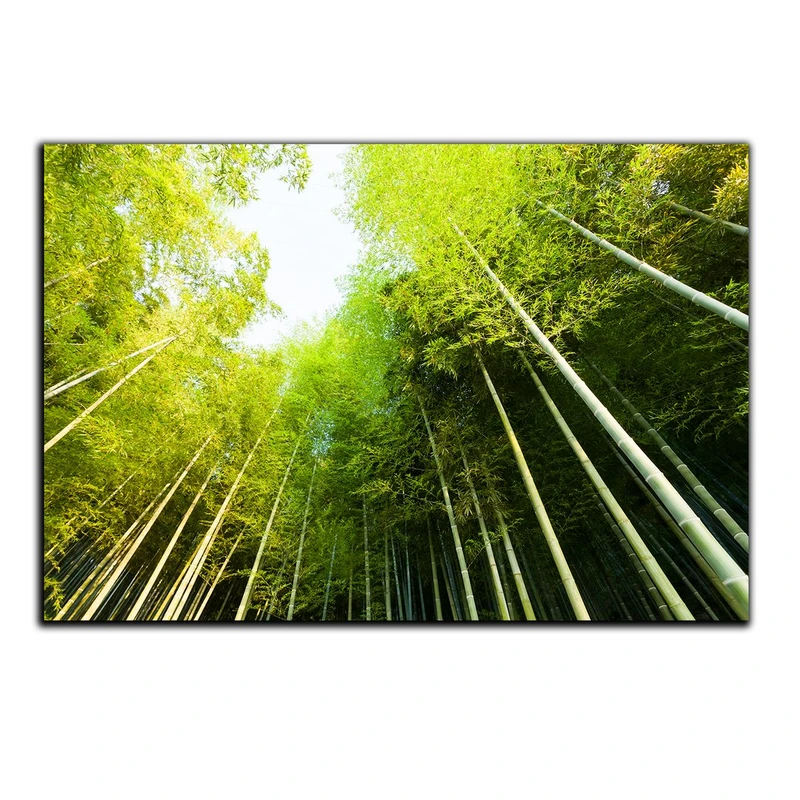 تابلو شاسی بکلیت طرح جنگل و روزنه نور مدل SH-S543