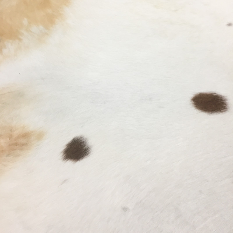 فرش پوست انارکارپت مدل AN128-P231 فرش پوست انارکارپت مدل AN128-P231