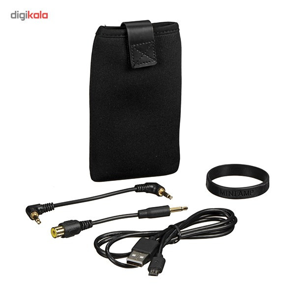 آمپلی فایر قابل حمل فیو مدل ALPEN 2-E17K