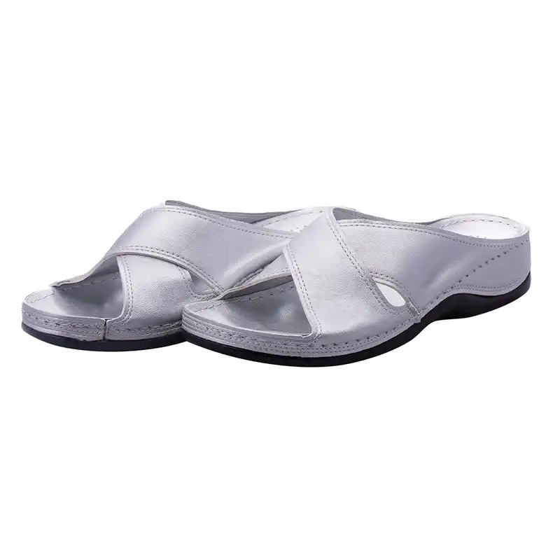 دمپایی زنانه آویده کد 245 رنگ نقره ای