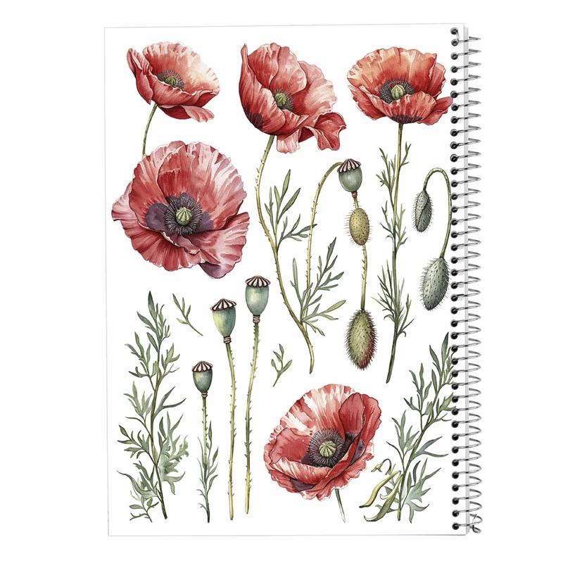 دفتر نقاشی 50 برگ مدوپد مدل گل کد DF13851