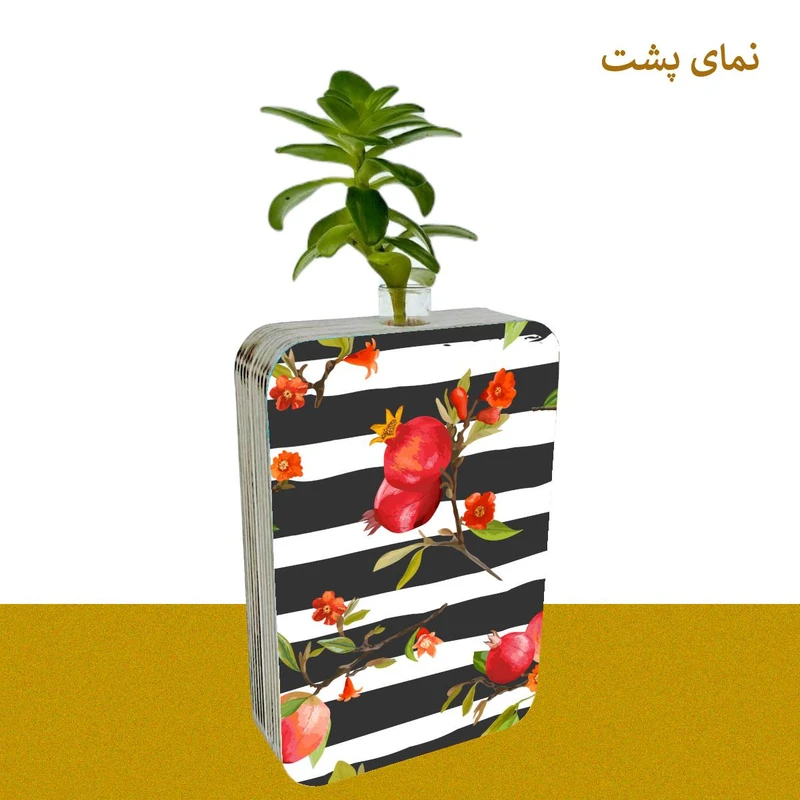 عکس شماره 3