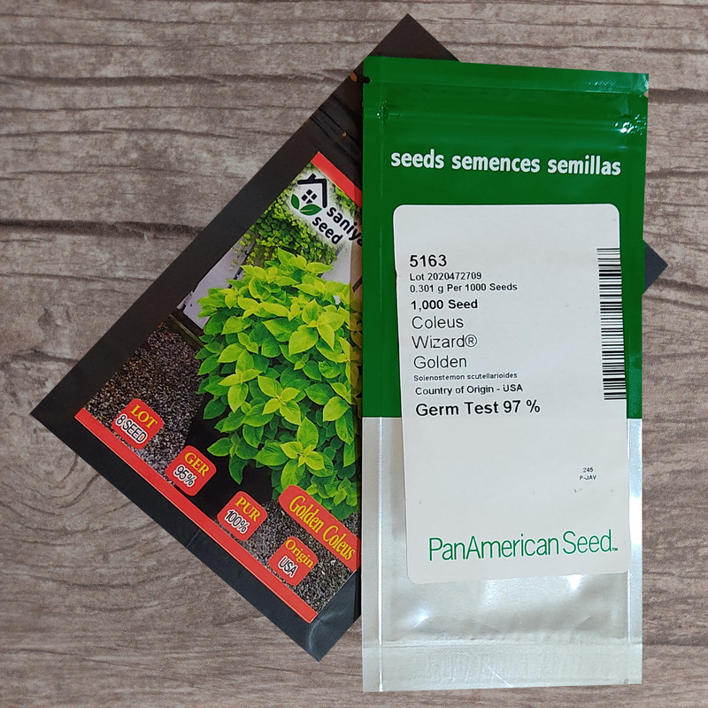 بذر گل حسن یوسف گلدن سانیا سید مدل SS58 بذر گل حسن یوسف گلدن سانیا سید مدل SS58