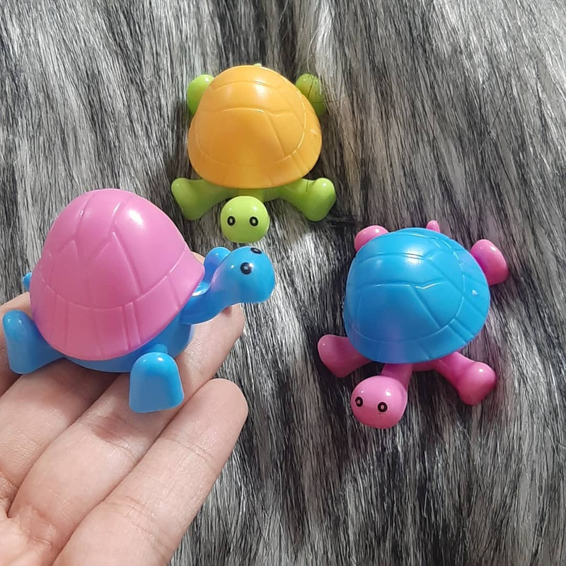 تراش مدل لاکپشت کد NS7