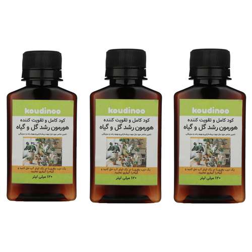  کود کامل و تقویت کننده هورمون رشد گل و گیاه کودینو مدل K-20 حجم 120 میلی لیتر بسته 3 عددی
