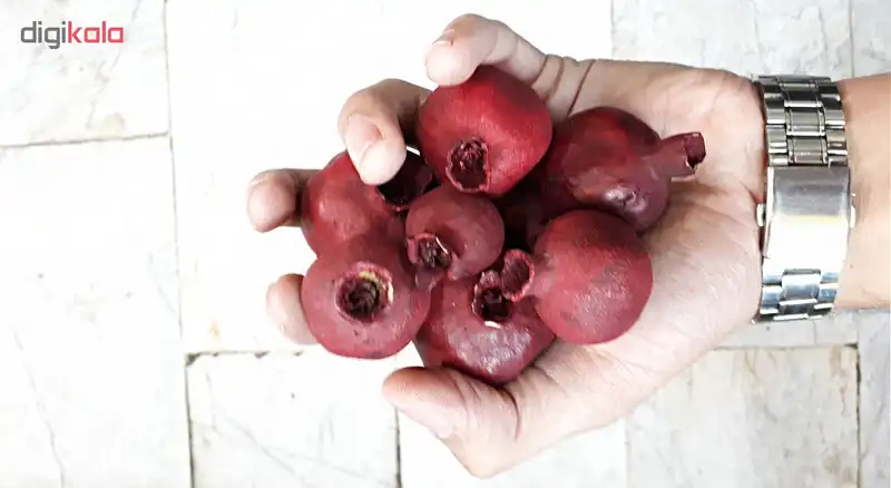 انار خشک شده مدل یلدا بسته 12 عددی