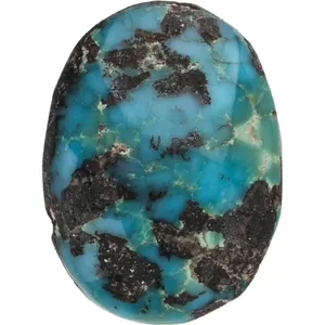 سنگ فیروزه شجر نیشابور کد GN7709