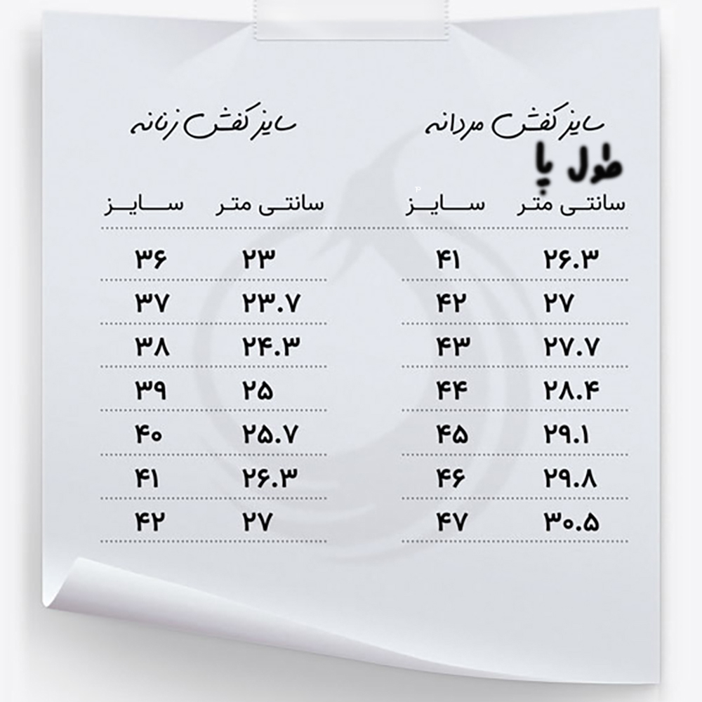 عکس شماره 4