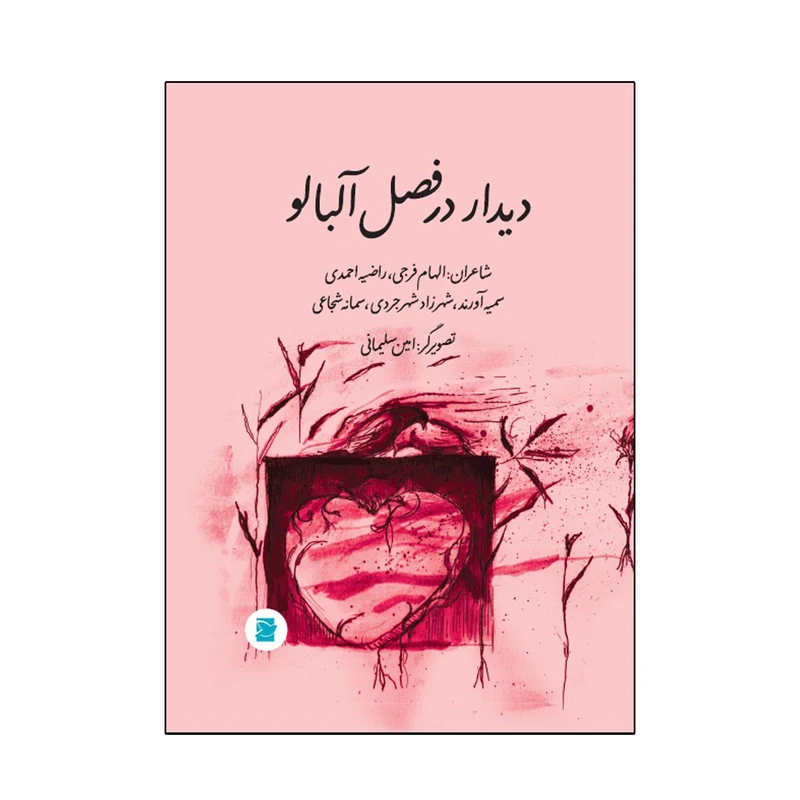 کتاب دیدار در فصل آلبالو اثر جمعی از نویسندگان نشر علمی فرهنگی
