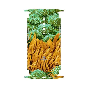 MAHOOT Atom Universe 6-FullSkin Cover Sticker for OnePlus 7T Pro