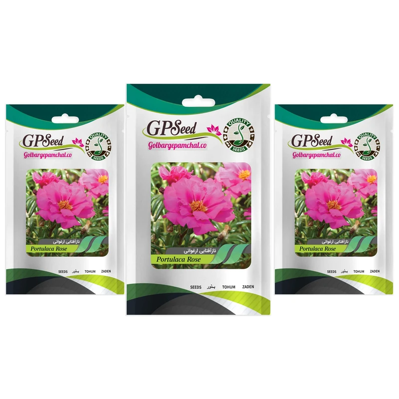 بذر گل ناز آفتابی ارغوانی گلدانی گلبرگ پامچال کد GPF-274 مجموعه 3 عددی