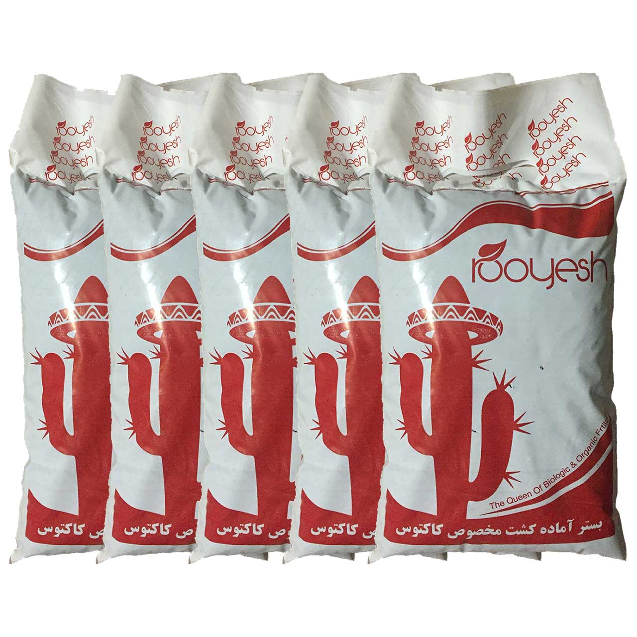 خاک کاکتوس رویش مدل CACTUS-2.5 کد Pack-12 مجموعه 5 عددی