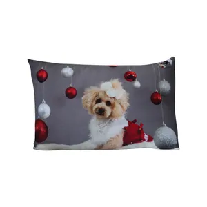 روبالشی مدل کودک طرح پاپی کد 008