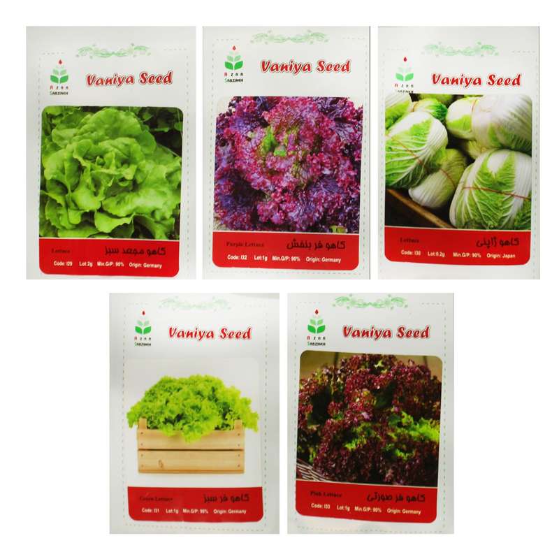 بذر کاهو آذر سبزینه مدل H18 مجموعه 5 عددی