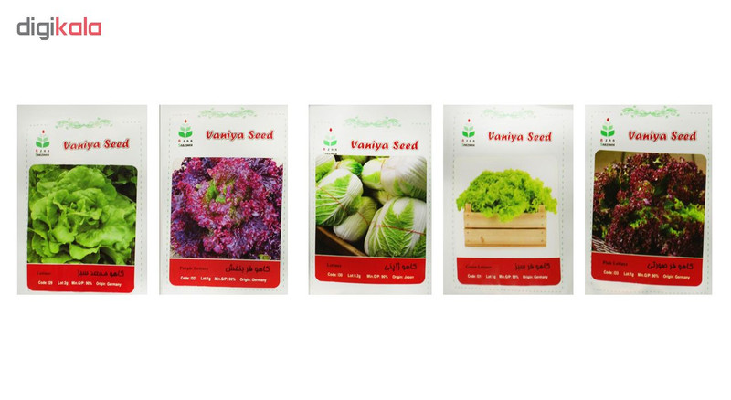 بذر کاهو آذر سبزینه مدل H18 مجموعه 5 عددی