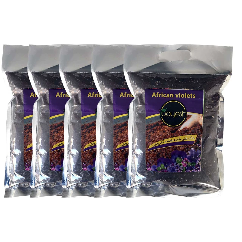 خاک بنفشه آفریقایی رویش مدل KHBA-02 کد Pack-21 بسته 5 عددی