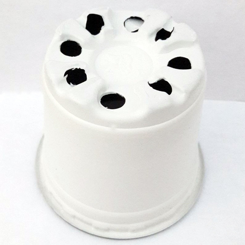 گلدان مدل ژله ای کد vnfrpot-8 مجموعه 12 عددی