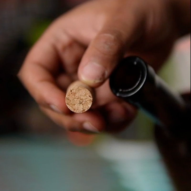 بطری مدل رنگی کد 061 مجموعه ۴ عددی