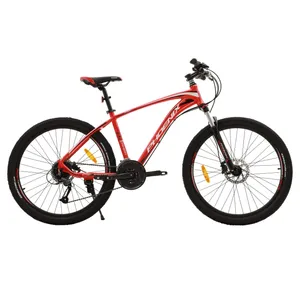 دوچرخه کوهستان فونیکس مدل ZK400 سایز 29