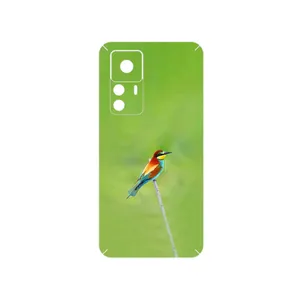 MAHOOT European bee-eater Cover Sticker for Xiaomi 12T Pro