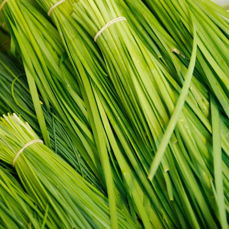 عکس شماره 4 : بذر تره مدل bz18396