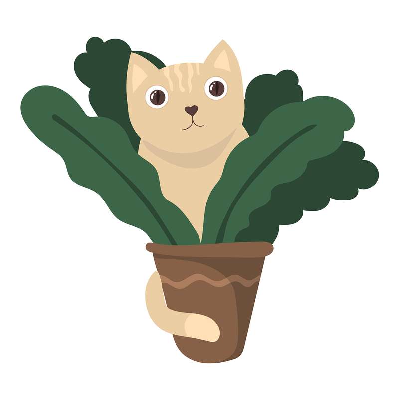  استند تولد رومیزی طرح گربه کد 422