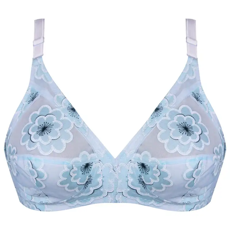 سوتین زنانه پانیذ مدل بدون فنر کد 66508-2 رنگ آبی